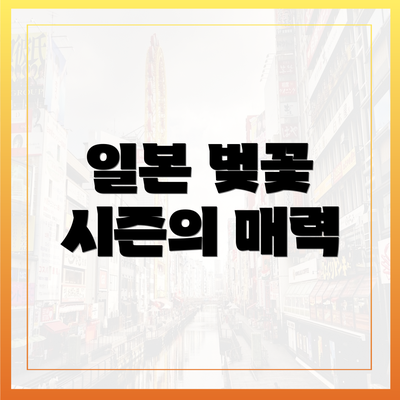 일본 벚꽃 시즌의 매력