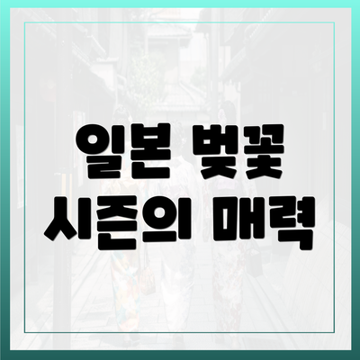 일본 벚꽃 시즌의 매력