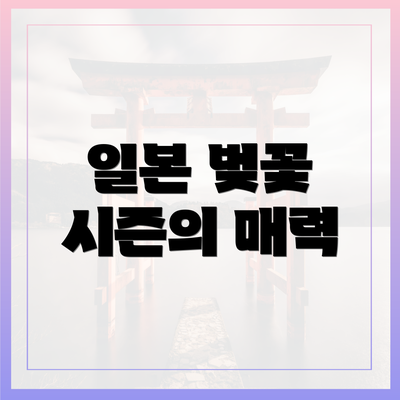 일본 벚꽃 시즌의 매력