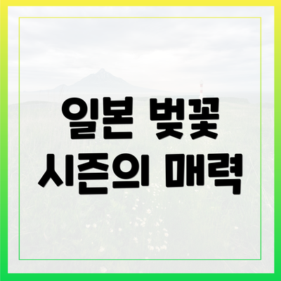 일본 벚꽃 시즌의 매력
