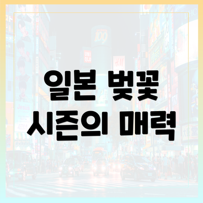 일본 벚꽃 시즌의 매력
