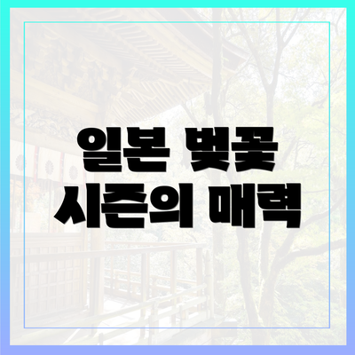 일본 벚꽃 시즌의 매력