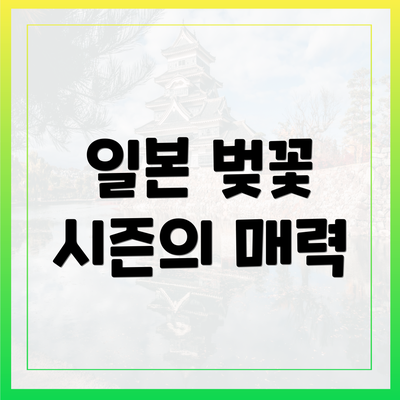 일본 벚꽃 시즌의 매력