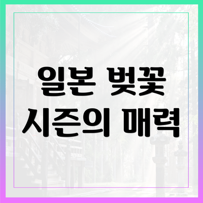 일본 벚꽃 시즌의 매력