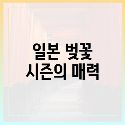 일본 벚꽃 시즌의 매력