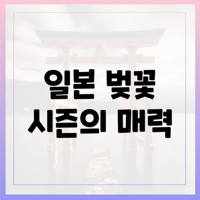 일본 벚꽃 시즌의 매력