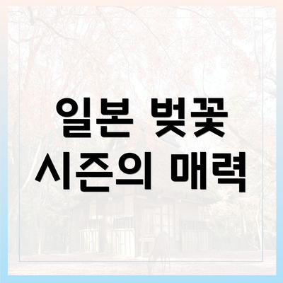 일본 벚꽃 시즌의 매력