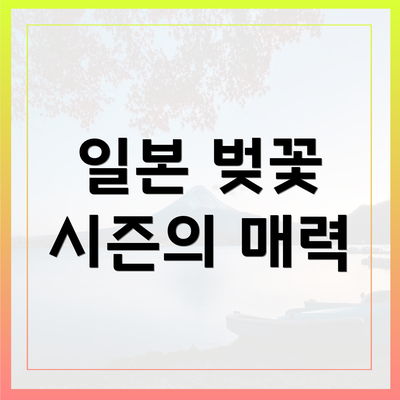 일본 벚꽃 시즌의 매력
