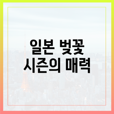 일본 벚꽃 시즌의 매력