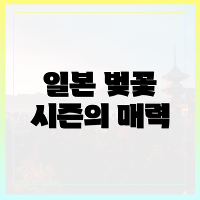 일본 벚꽃 시즌의 매력