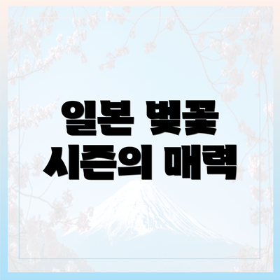 일본 벚꽃 시즌의 매력