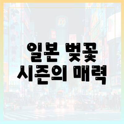 일본 벚꽃 시즌의 매력