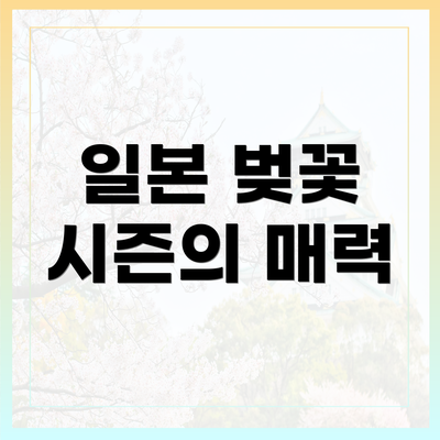 일본 벚꽃 시즌의 매력