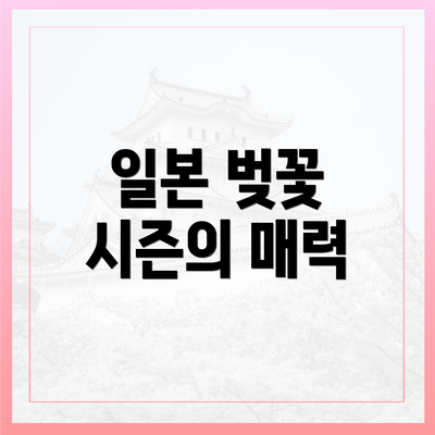 일본 벚꽃 시즌의 매력