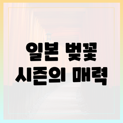 일본 벚꽃 시즌의 매력