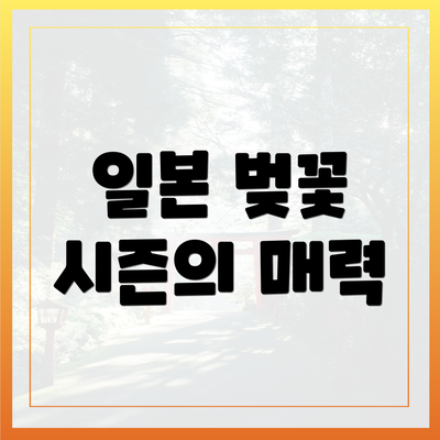 일본 벚꽃 시즌의 매력