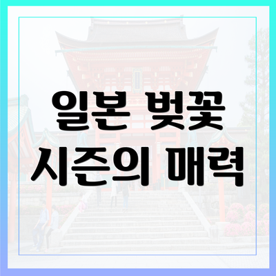일본 벚꽃 시즌의 매력