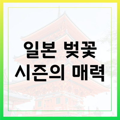 일본 벚꽃 시즌의 매력