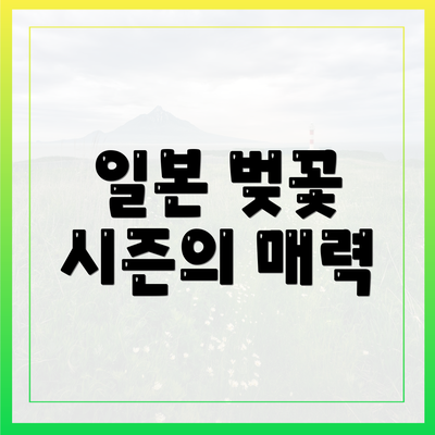 일본 벚꽃 시즌의 매력