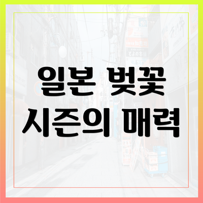일본 벚꽃 시즌의 매력