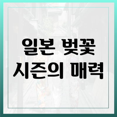 일본 벚꽃 시즌의 매력