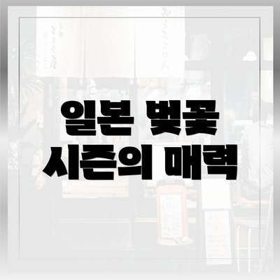 일본 벚꽃 시즌의 매력