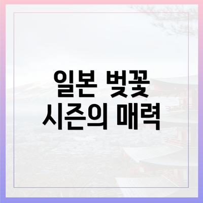 일본 벚꽃 시즌의 매력