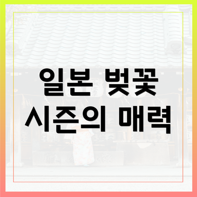 일본 벚꽃 시즌의 매력