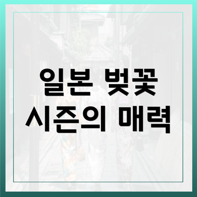 일본 벚꽃 시즌의 매력