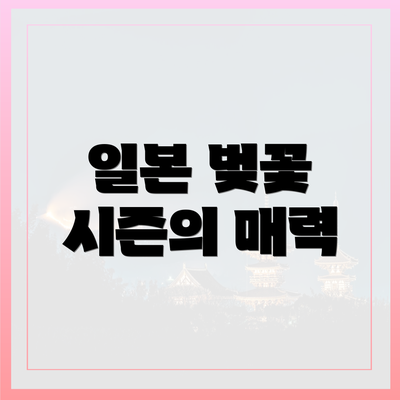 일본 벚꽃 시즌의 매력