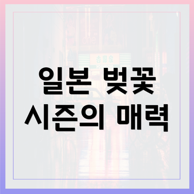일본 벚꽃 시즌의 매력