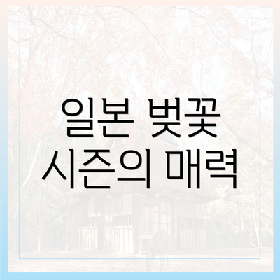 일본 벚꽃 시즌의 매력
