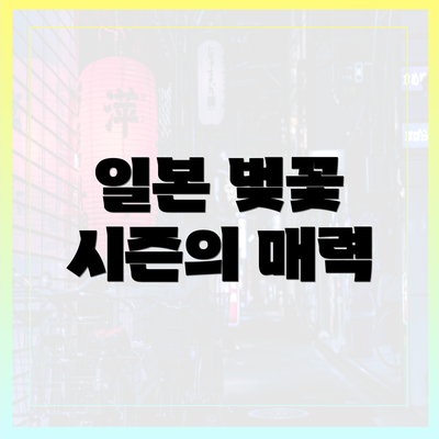 일본 벚꽃 시즌의 매력