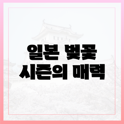 일본 벚꽃 시즌의 매력
