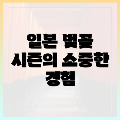 일본 벚꽃 시즌의 소중한 경험