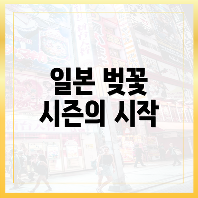 일본 벚꽃 시즌의 시작