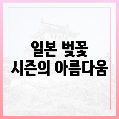 일본 벚꽃 시즌의 아름다움
