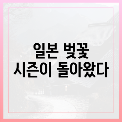 일본 벚꽃 시즌이 돌아왔다
