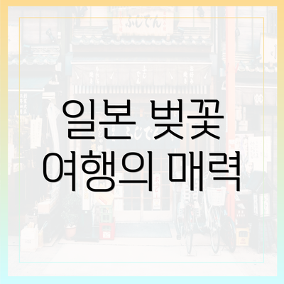 일본 벚꽃 여행의 매력
