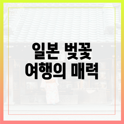 일본 벚꽃 여행의 매력