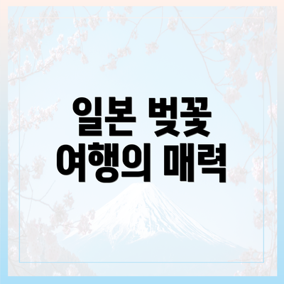 일본 벚꽃 여행의 매력