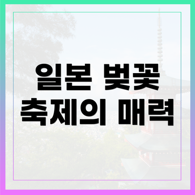 일본 벚꽃 축제의 매력