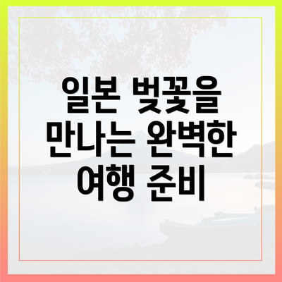 일본 벚꽃을 만나는 완벽한 여행 준비