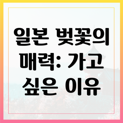 일본 벚꽃의 매력: 가고 싶은 이유