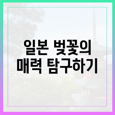 일본 벚꽃의 매력 탐구하기