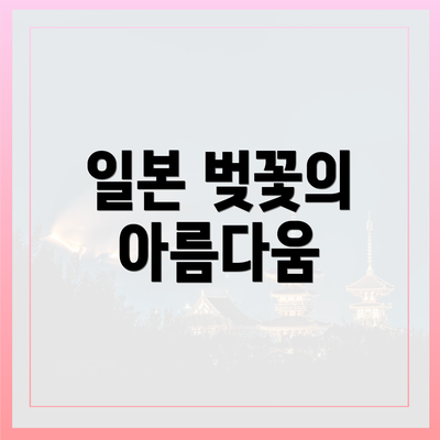 일본 벚꽃의 아름다움