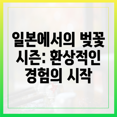 일본에서의 벚꽃 시즌: 환상적인 경험의 시작