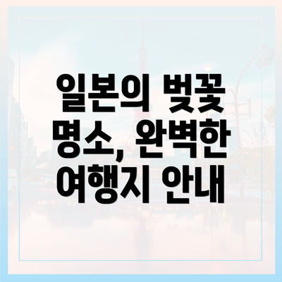 일본의 벚꽃 명소, 완벽한 여행지 안내