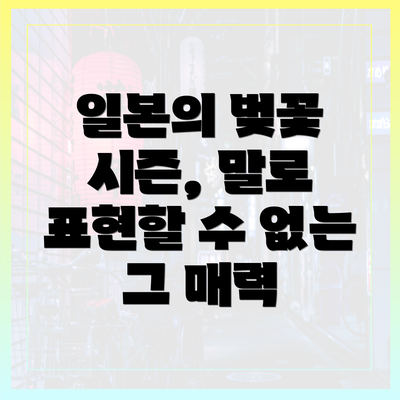 일본의 벚꽃 시즌, 말로 표현할 수 없는 그 매력