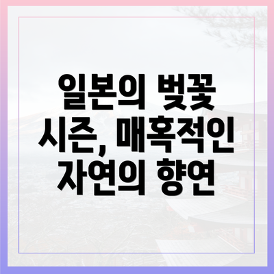 일본의 벚꽃 시즌, 매혹적인 자연의 향연
